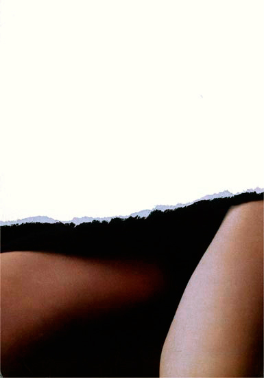 Annick Blavier - Collages/Tirages aux pigments