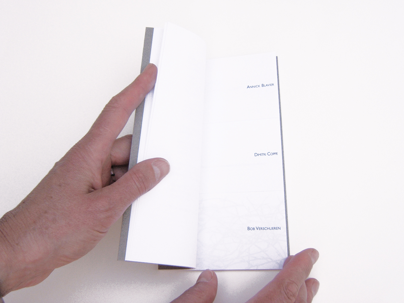 Livre Annick Blavier