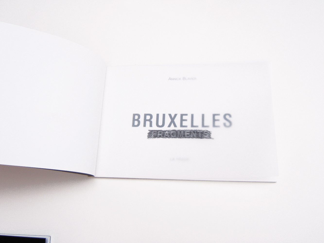 Livre Annick Blavier